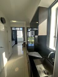 City Suites (D12), Apartment #558161531